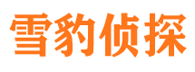 镇坪市婚外情调查